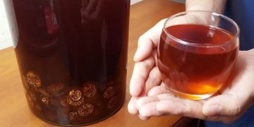 Rượu chuối hột - Đặc sản đáng tự hào của dân tộc Việt Nam