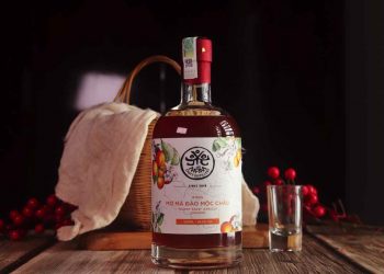 Rượu mơ mang đến nhiều lợi ích ấn tượng cho sức khỏe 