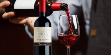 Nhắc đến rượu vang Chile không thể nào không nhắc đến dòng 1865
