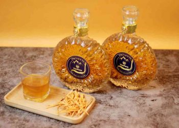 Tác dụng cực tốt của rượu ngâm từ đông trùng hạ thảo