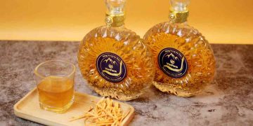 Tác dụng cực tốt của rượu ngâm từ đông trùng hạ thảo