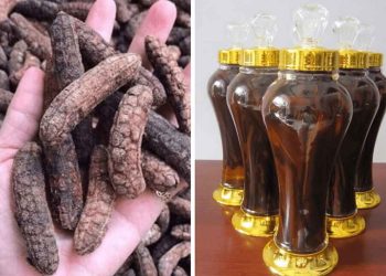 Rượu giúp đỡ bệnh viêm xoang