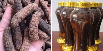 Rượu giúp đỡ bệnh viêm xoang