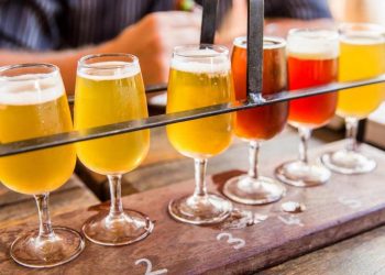 Nấu bia craft sử dụng những nguyên liệu gì? Quy trình nấu?