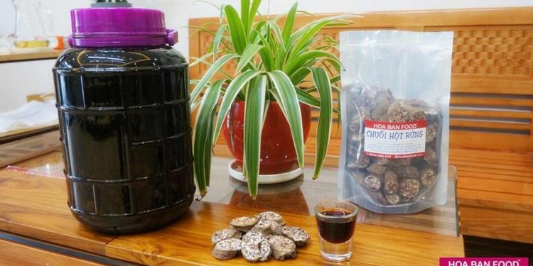 Có thể ngâm chung rượu chuối hột với đinh lăng, sâm cau