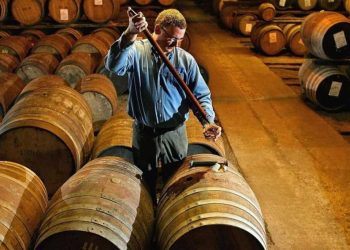 Thùng gỗ sồi được sử dụng để ủ rượu Chivas