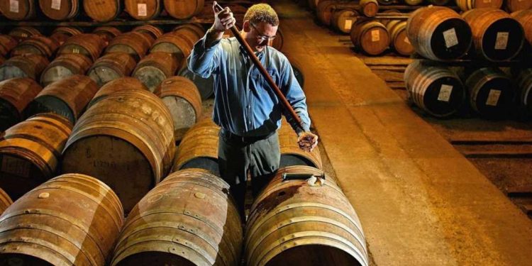 Thùng gỗ sồi được sử dụng để ủ rượu Chivas