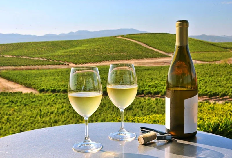 Rượu vang trắng được sản xuất qua nhiều bước khác nhau